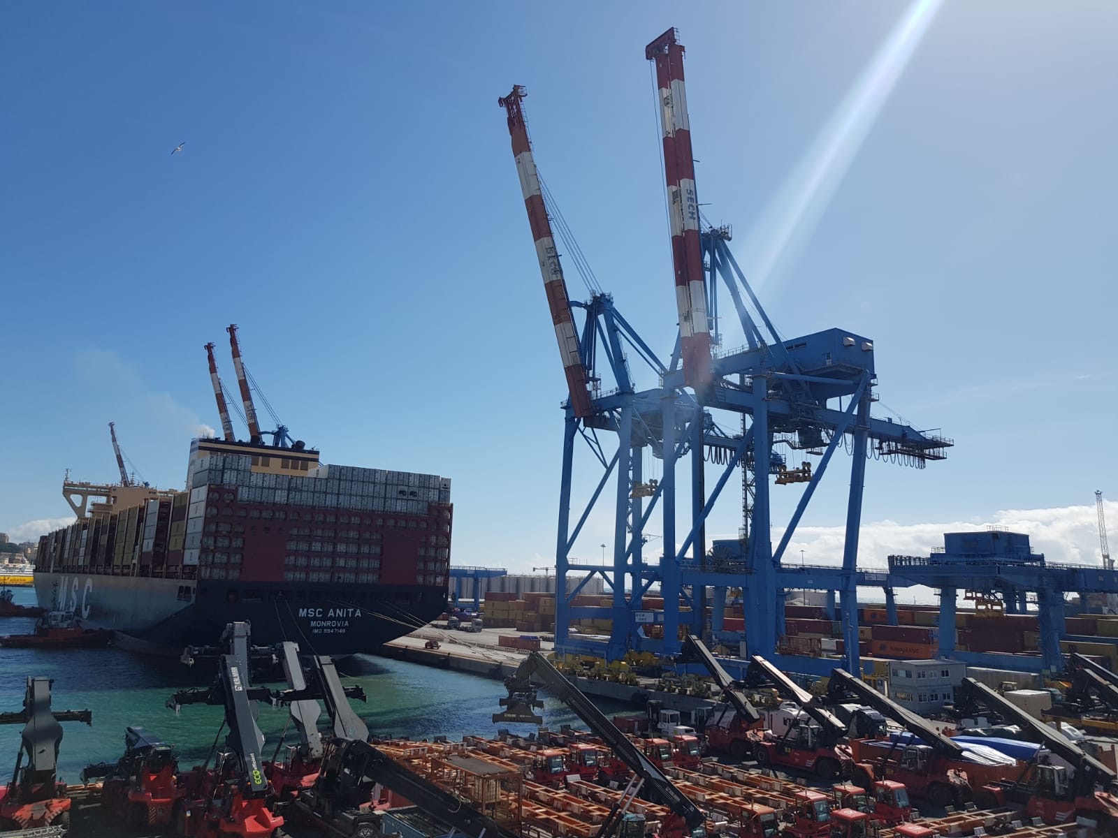 RECORD A SECH: AL TERMINAL DI PSA ITALY ARRIVA UN GIGANTE DA 16.000 TEUS